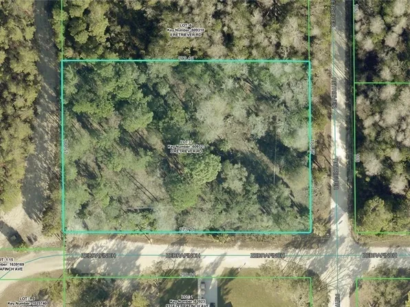 18429 Retriever Rd, Weeki Wachee, FL 34614