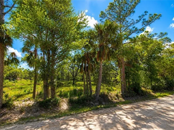 43051 Farabee Rd, Punta Gorda, FL 33982