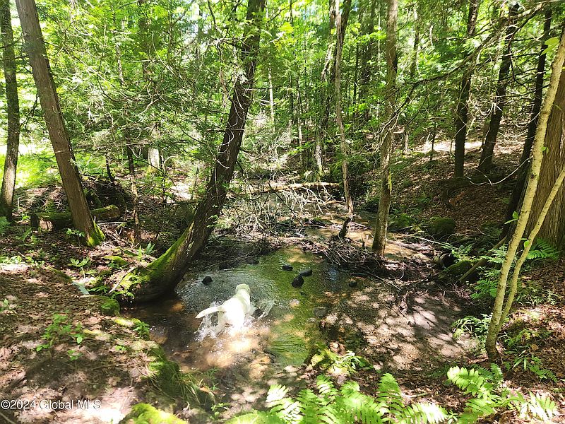 4th image of L11 Pumpkin Hollow Road