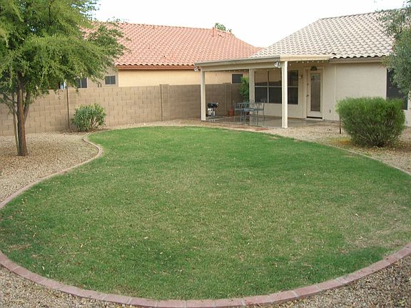 Great back yard
