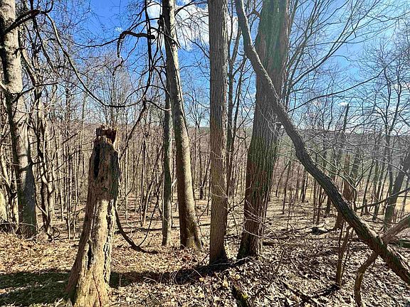 4th image of Flag Run Road Acres