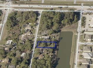 161 Aquarius Ave SE, Palm Bay, FL 32909