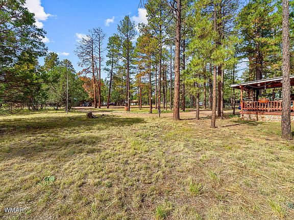 4th image of 2032 Bald Eagle Ct