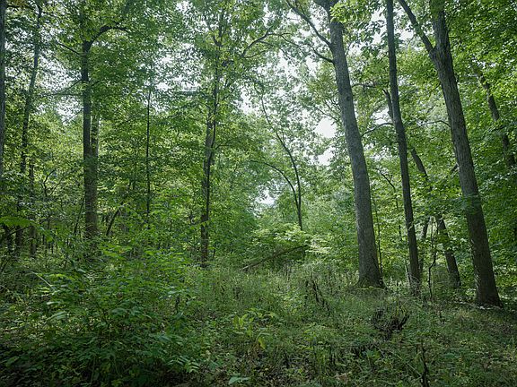 3rd image of Kopper Pond Rd Lot Wp001