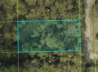 2203 McArthur Ave, Alva, FL 33920