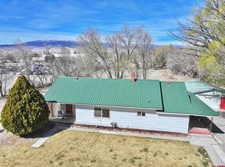 1585 E 3rd St, Delta, CO 81416