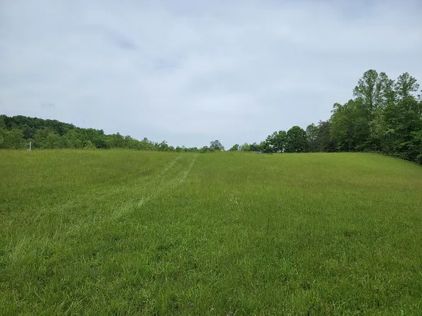 Tbd1 Shortcut Rd, Woolwine, VA 24185