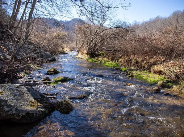 0 Davis Creek Ln, Lovingston, VA 22949