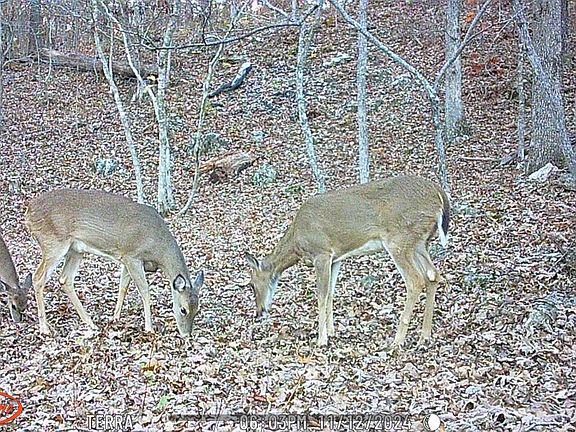 2nd image of Lot 13 Lookout Point