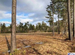 1241 Cox Rd, Pamplico, SC 29583