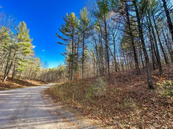 2471 Forest Hills Dr, Spruce, MI 48762