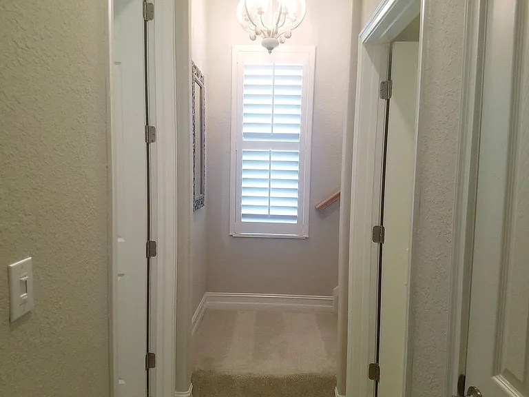 10908 Bullrush Dr — Photo 85