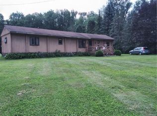 12461 Smith Rd, Springville, NY 14141
