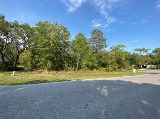 2 Birchtree St #1, Homosassa, FL 34446