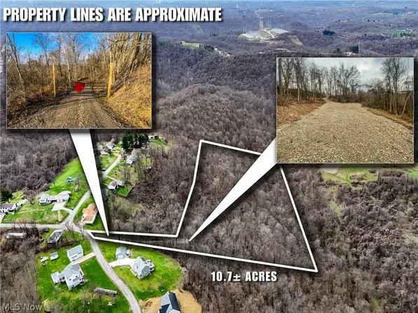0 New Cut Rd, Shadyside, OH 43947
