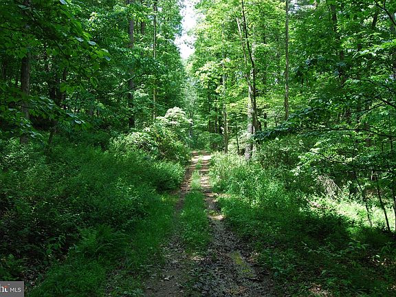 3rd image of 13 Pleasant Dale Ln