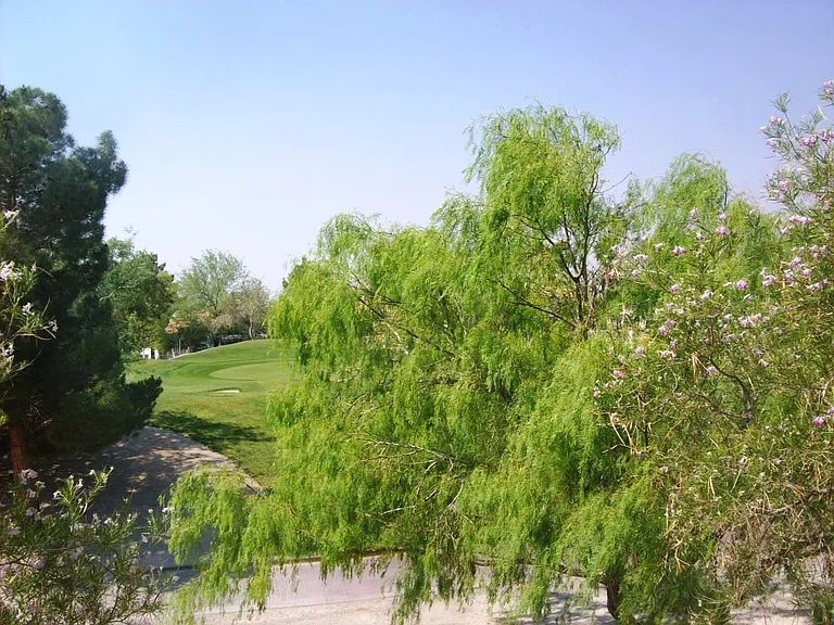 7281 Vista Bonita Dr — Photo 9
