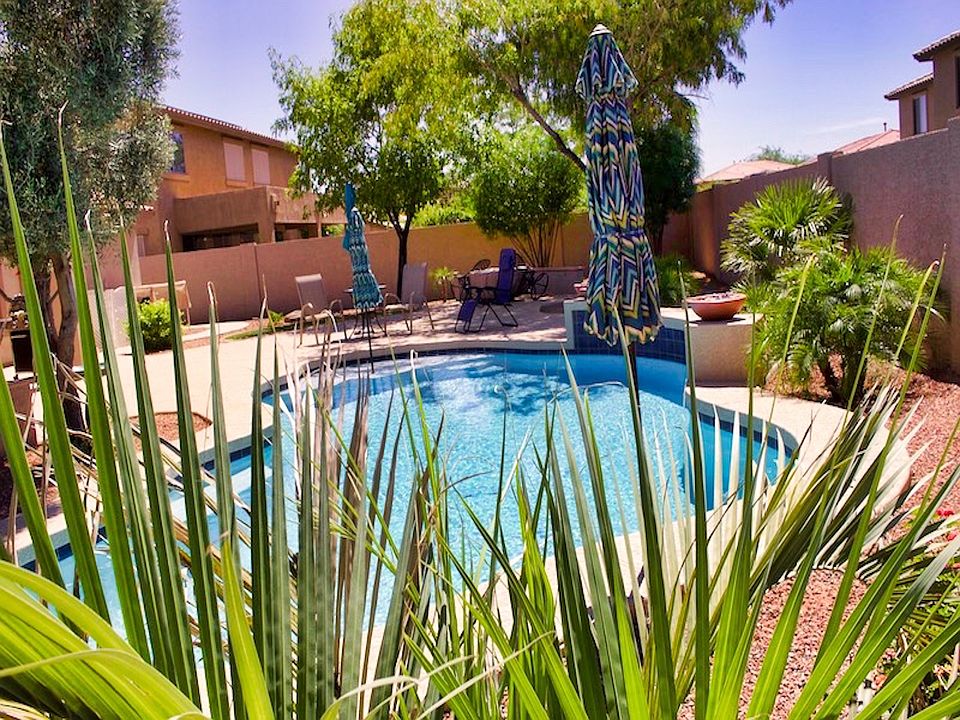Backyard Pool