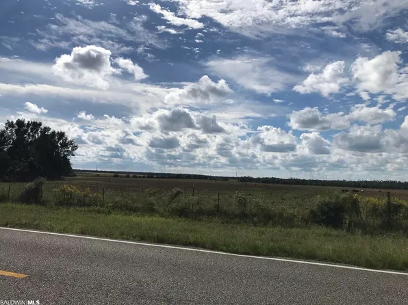 0 County Road 91, Lillian, AL 36549