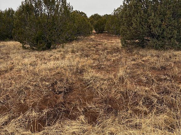 4th image of 90 Jesse James Rd