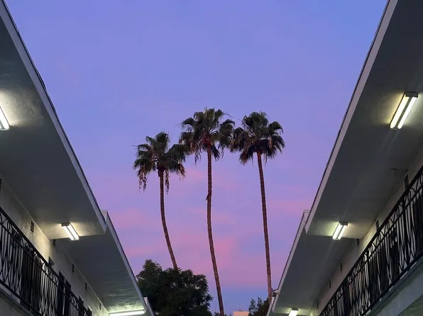 Sycamore Garden, 1737 N Sycamore Ave #841952e9c, Los Angeles, CA 90028