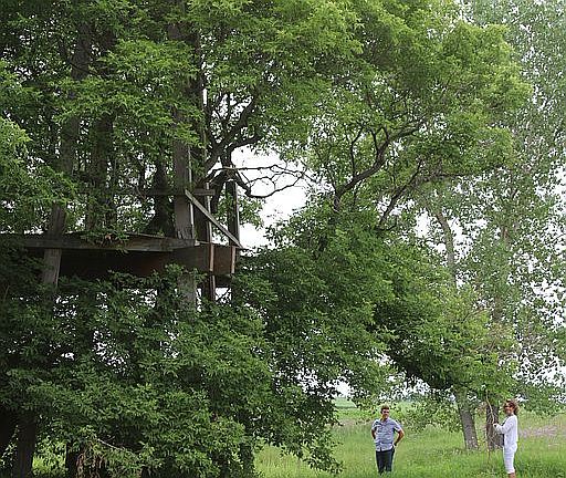 Our giant treehouse