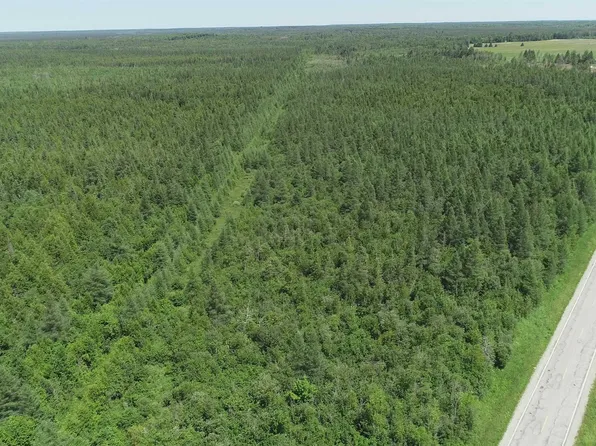 252 Acres River Rd, Gulliver, MI 49840