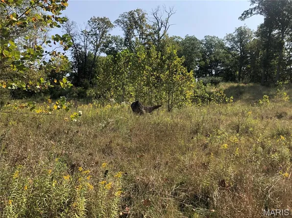 6752 Walnut Ter, High Ridge, MO 63049