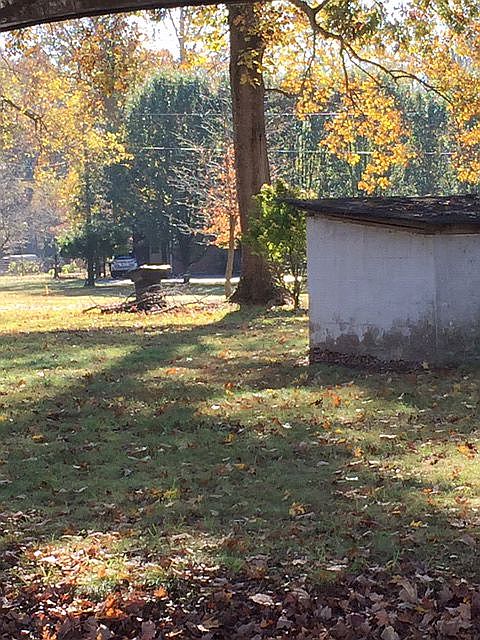 view from Wiseman Rd