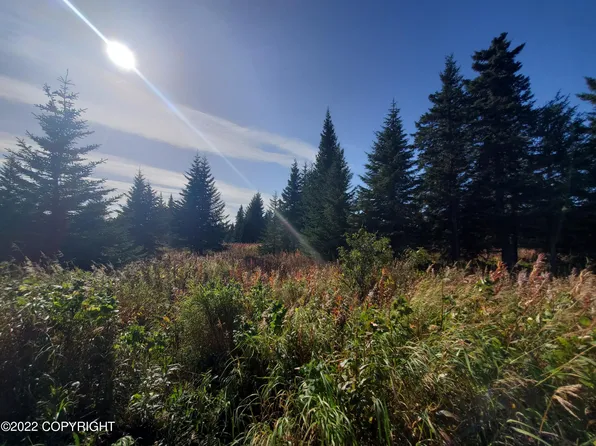 67761 Shavila Rd, Ninilchik, AK 99639