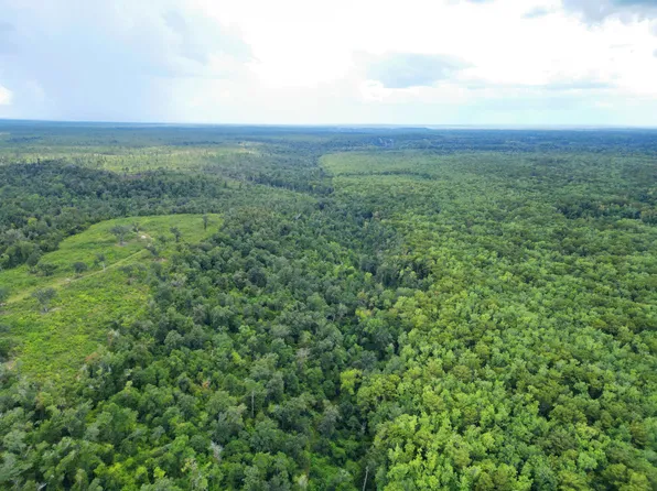 NW Longleaf, Bristol, FL 32321