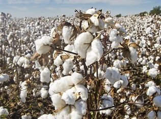 1851 Dover Rd, Levelland, TX 79336