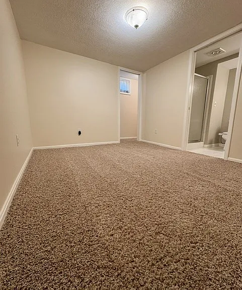 Basement Bonus Room with Full Bath