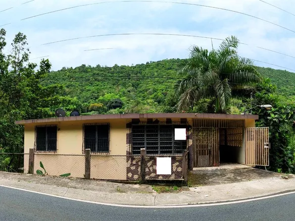 173 Carr #Sr, Aibonito, PR 00705