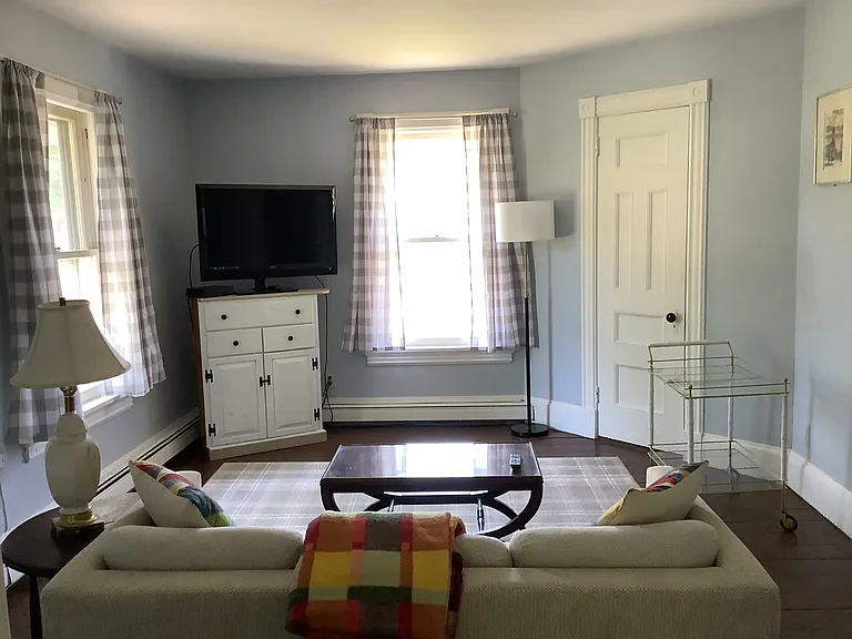 Bright Living Room with painted wood floor & area rug. Overlooks a quiet village street. All rooms have a closet.