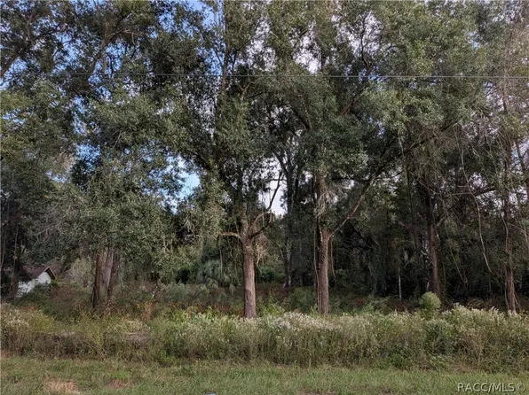 12475 S Istachatta Rd, Floral City, FL 34436