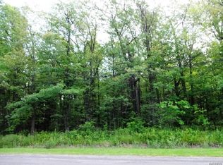 6735 Conner Rd, Clarence Center, NY 14051