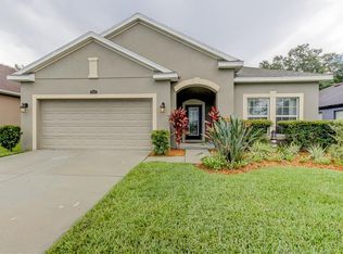 3618 Grecko Dr, Wesley Chapel, FL 33543