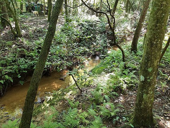3rd image of 401 Hollow Wood Ln
