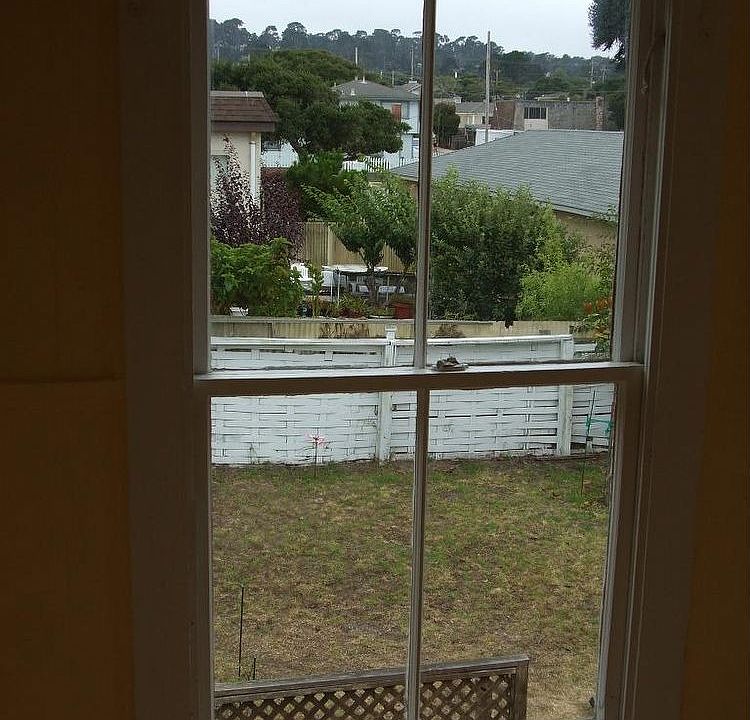 office window view