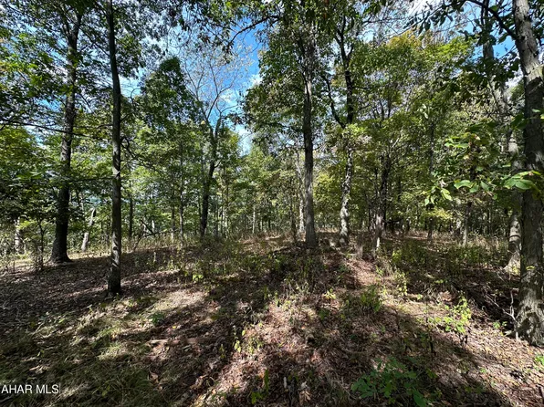 LOT 1 Glade Pike, Manns Choice, PA 15550