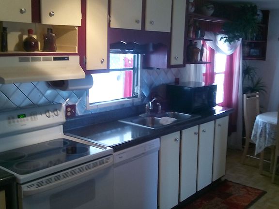 3rd image of 39248 Us Highway 19 N Lot 309