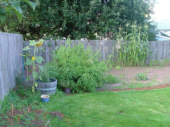 the other half of the garden