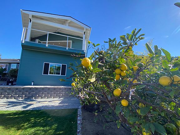 Enjoy 2 welcoming lemon and orange trees in your yard!