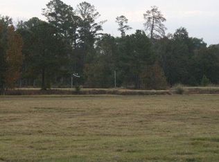 577 R W Jones Rd, Leslie, GA 31764