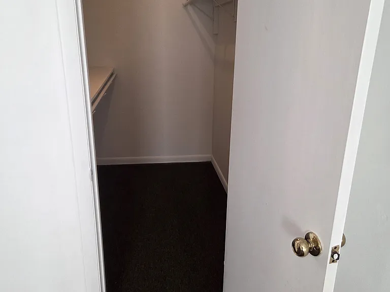 269 Jadetree Dr — Photo 9