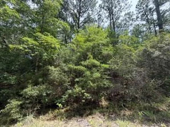 32539 Vantage Dr, Brookeland, TX 75931