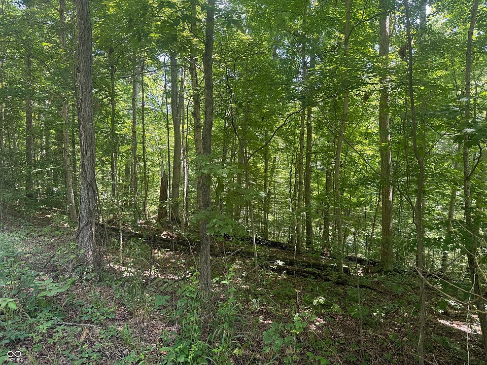 2nd image of 0 Mockingbird Ln