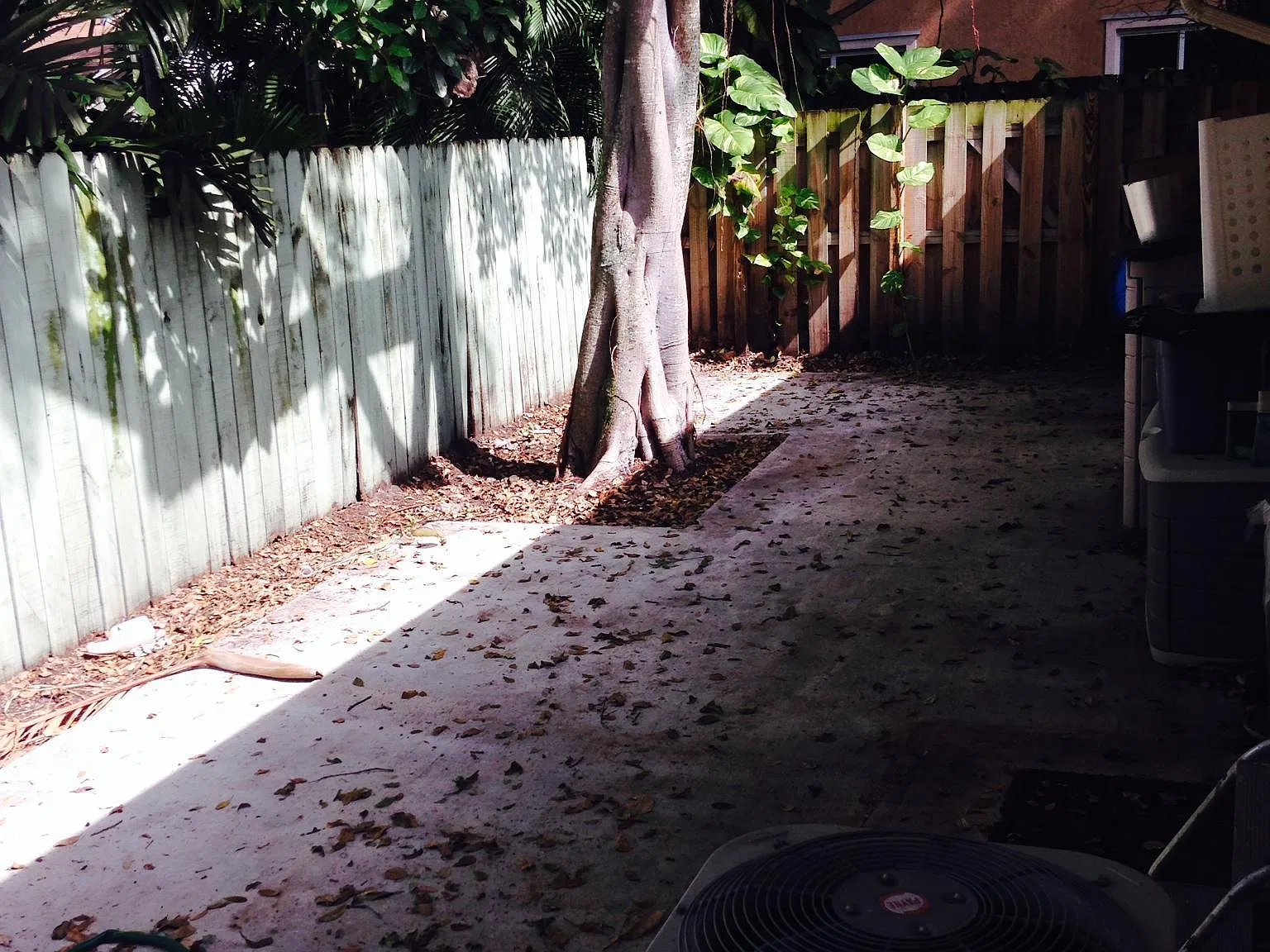 3 bed, 1200 sqft, $2,250 — Photo 3