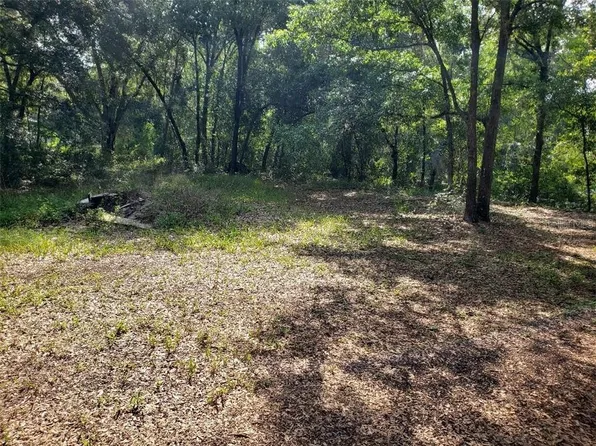 14632 Middlefield Ln, Odessa, FL 33556